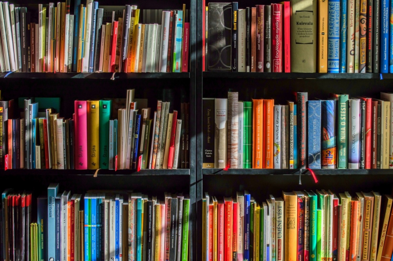 boutique-COLLOBRIERES-min_books_bookstore_book_reading_shop_writer_sale_books_read-822866